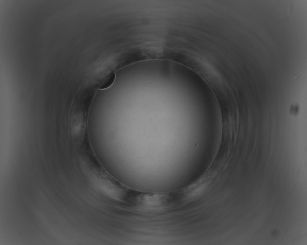 X0000093560134200710221430