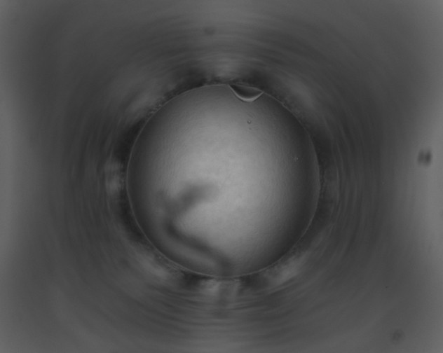 X0000093560135200710221430