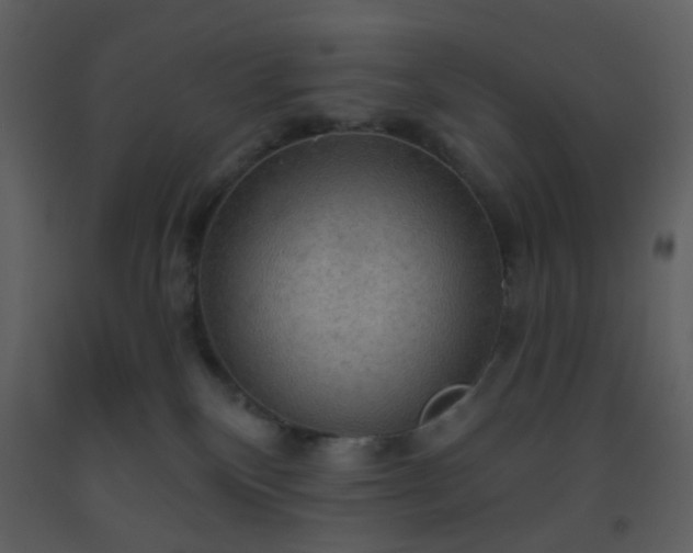 X0000093560136200710221430