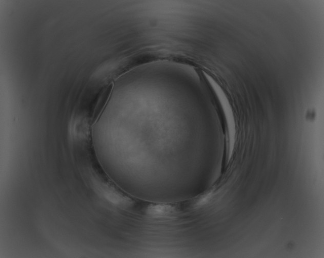 X0000093560137200710221430