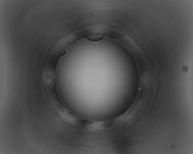 X0000093560138200710221430