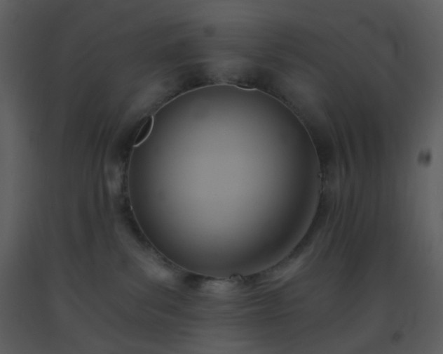 X0000093560139200710221430