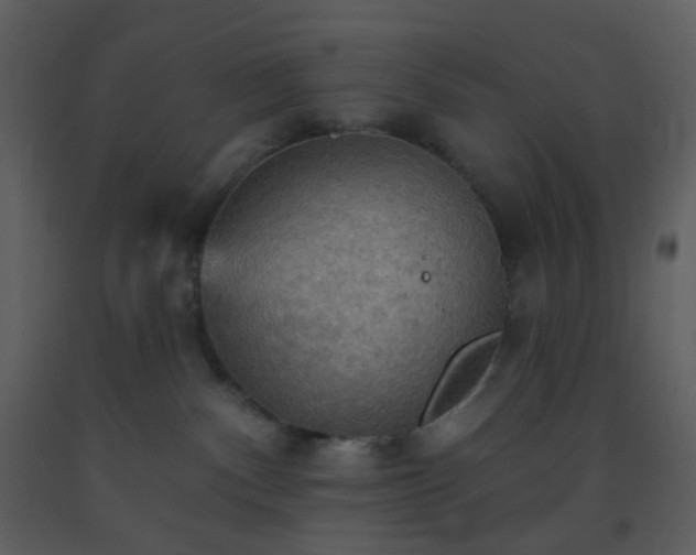 X0000093560140200710221430