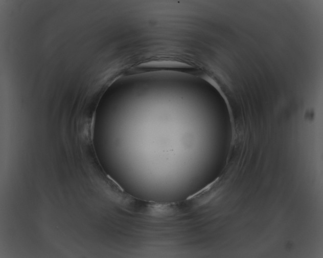 X0000093560141200710221430