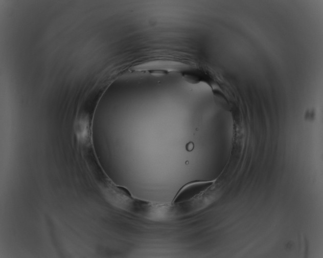 X0000093560143200710221430