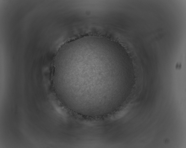 X0000093560144200710221430