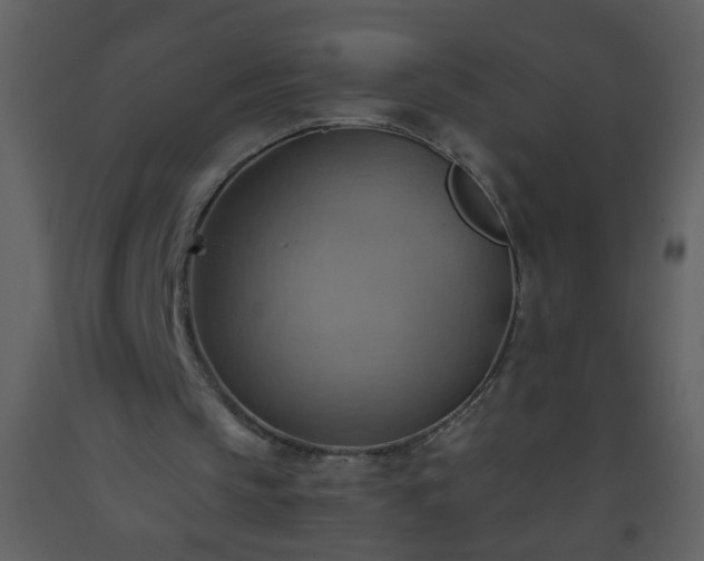 X0000093560145200710221430