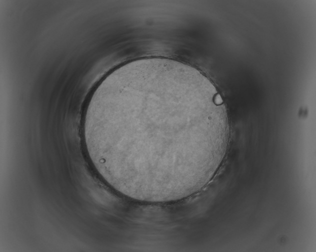 X0000093560146200710221430