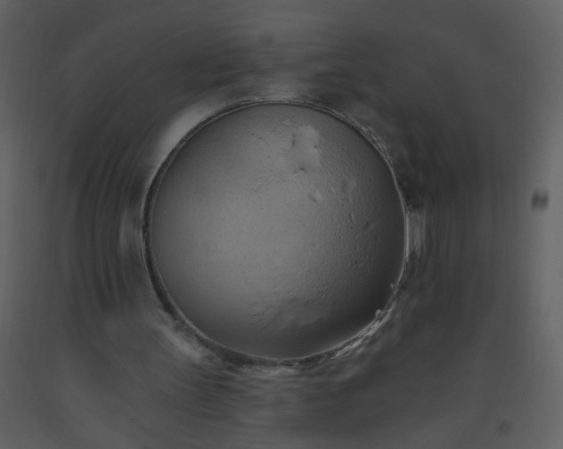 X0000093560147200710221430