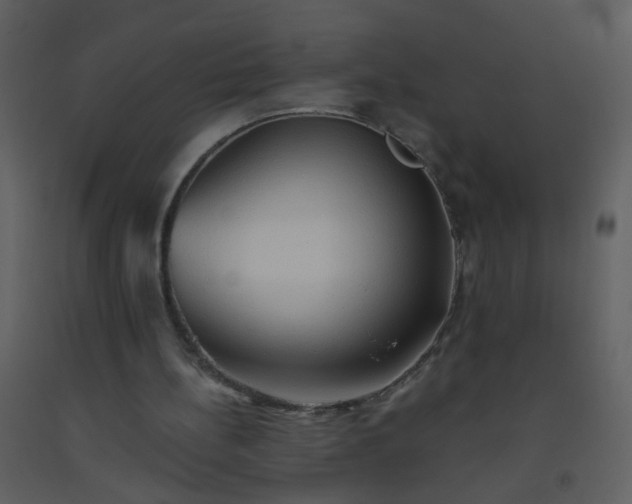 X0000093560148200710221430