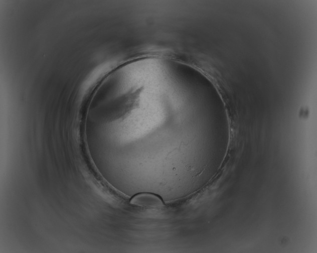 X0000093560149200710221430