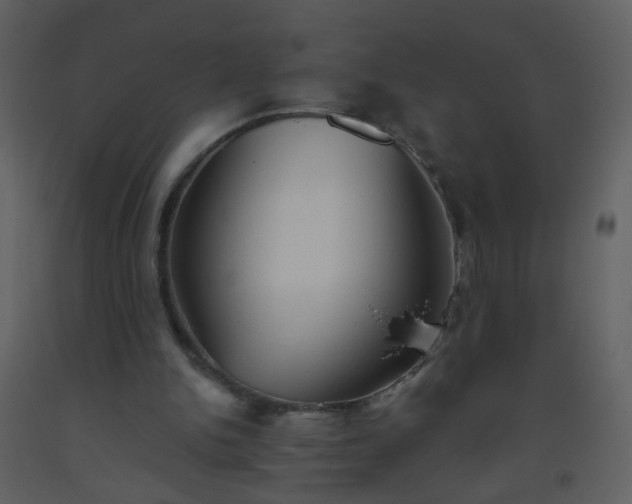 X0000093560150200710221430