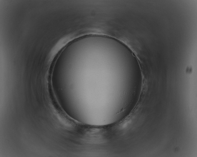 X0000093560151200710221430