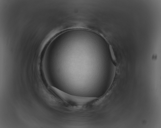 X0000093560152200710221430