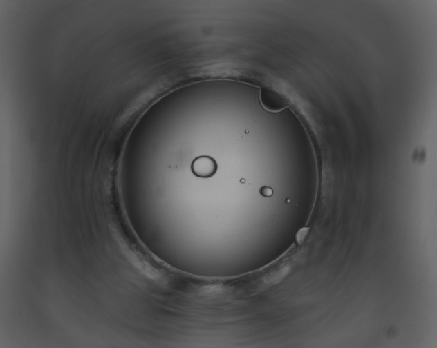 X0000093560153200710221430