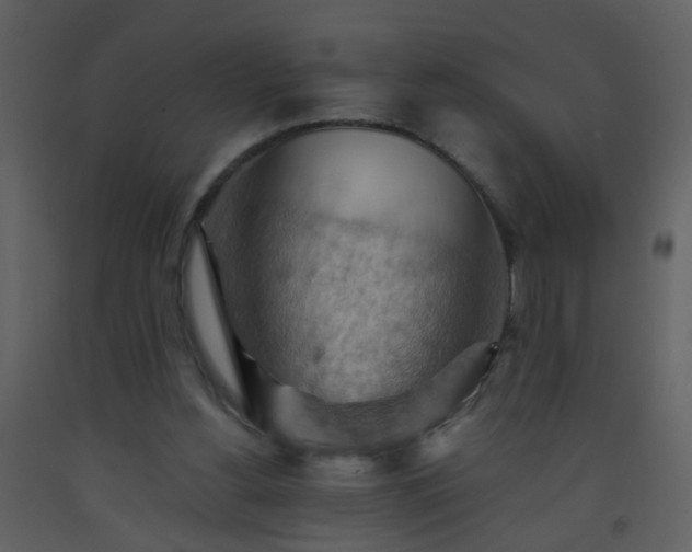 X0000093560156200710221430