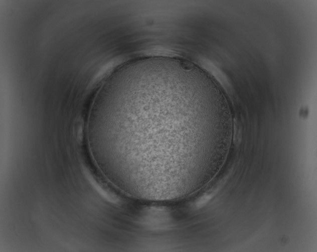 X0000093560157200710221430