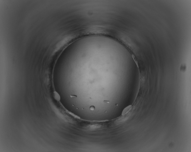 X0000093560158200710221430