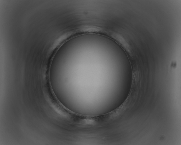 X0000093560159200710221430