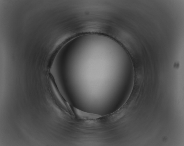 X0000093560160200710221430