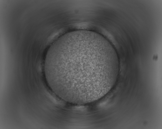 X0000093560161200710221430