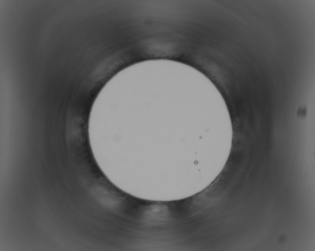 X0000093560162200710221430