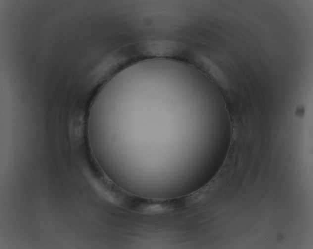 X0000093560163200710221430