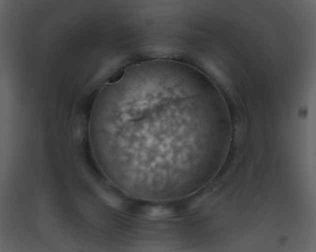 X0000093560165200710221430