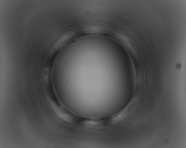 X0000093560167200710221430