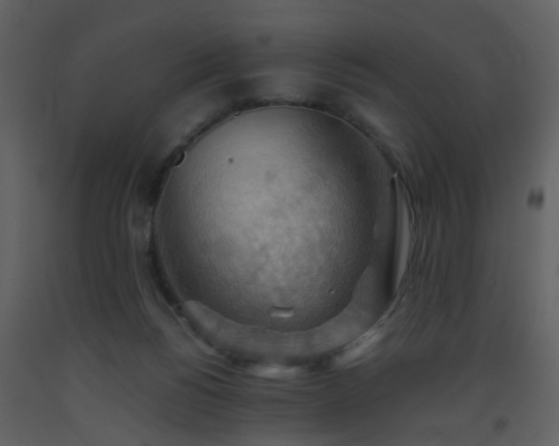 X0000093560168200710221430