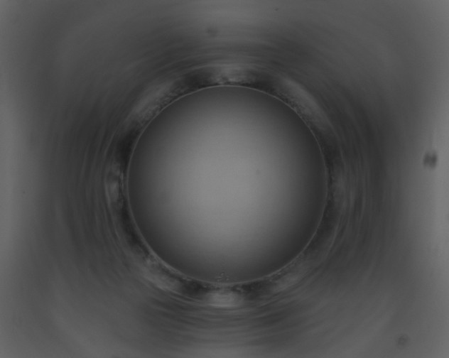 X0000093560169200710221430