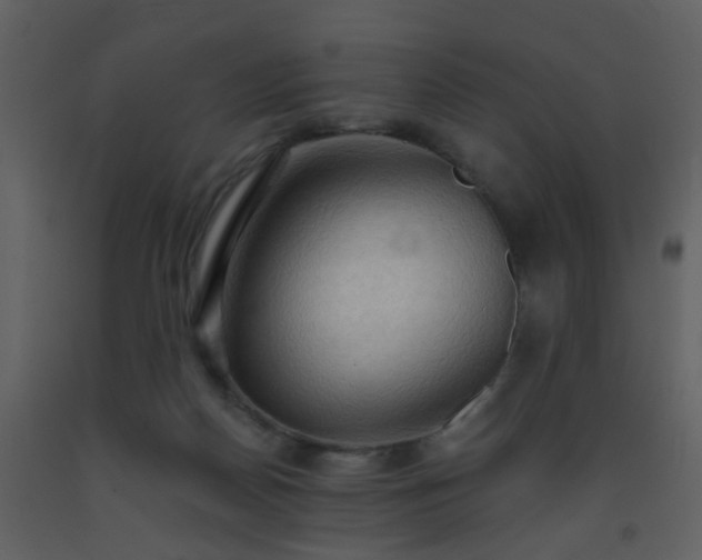 X0000093560170200710221430