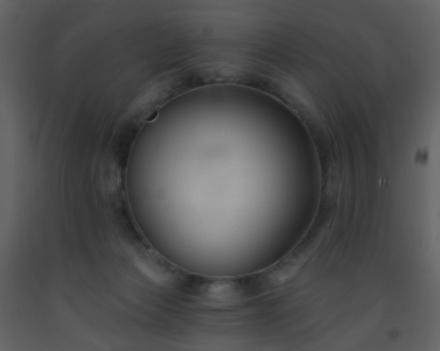 X0000093560173200710221430