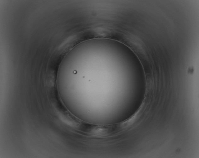 X0000093560174200710221430