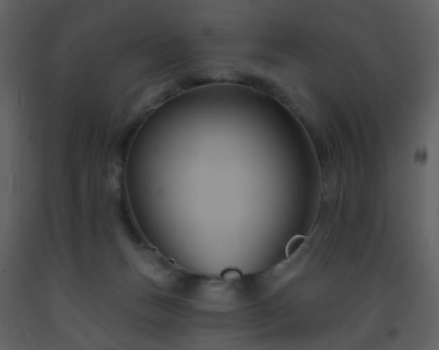 X0000093560175200710221430