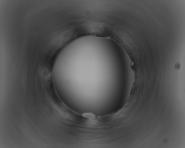 X0000093560176200710221430