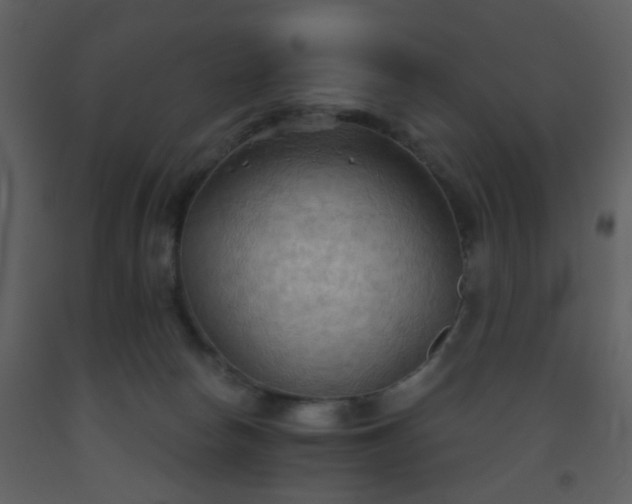 X0000093560178200710221430