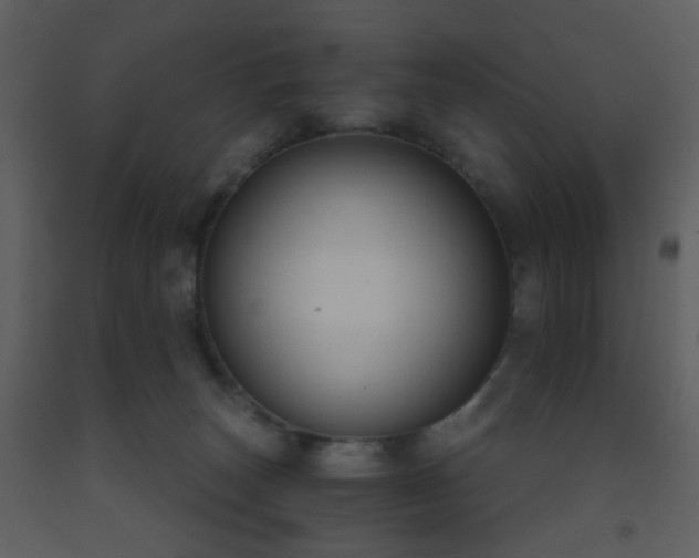 X0000093560179200710221430