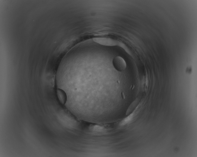 X0000093560180200710221430