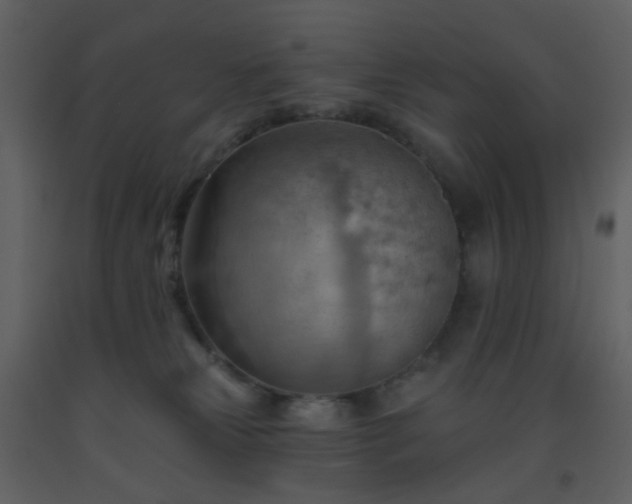 X0000093560181200710221430