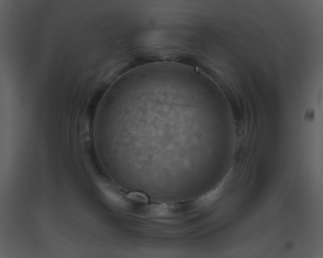 X0000093560182200710221430