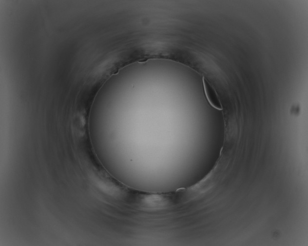 X0000093560183200710221430