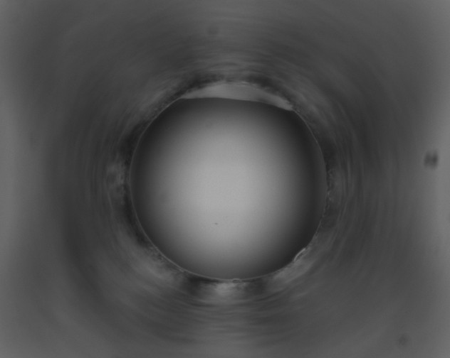 X0000093560184200710221430