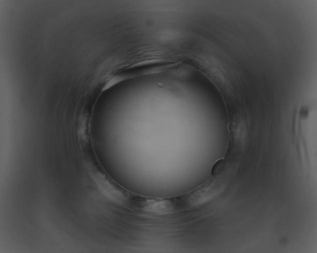 X0000093560185200710221430