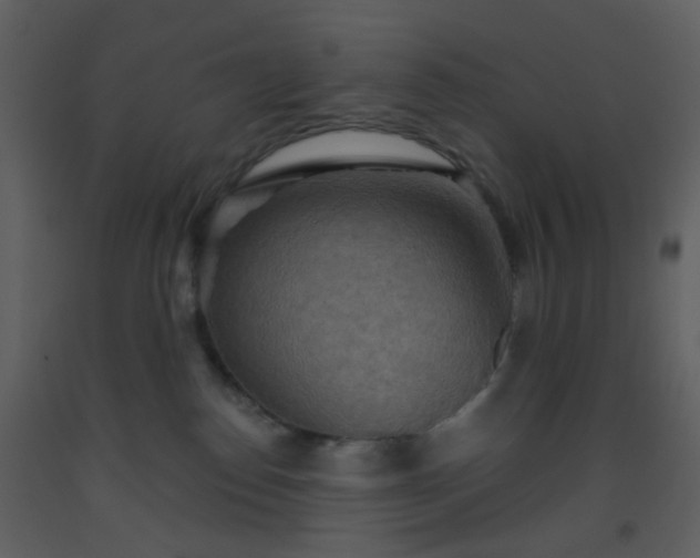 X0000093560186200710221430