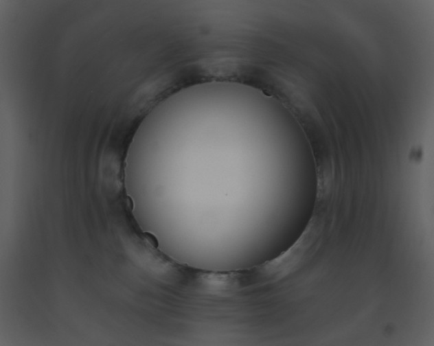 X0000093560187200710221430