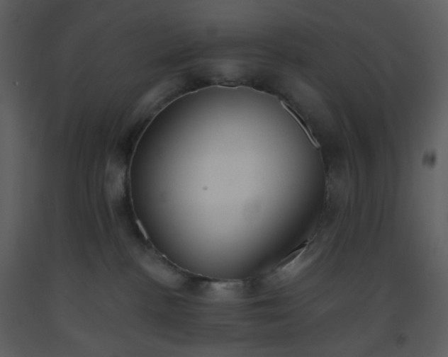 X0000093560188200710221430