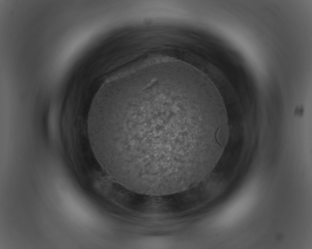 X0000093560189200710221430