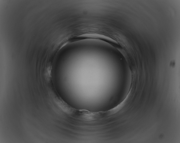 X0000093560190200710221430