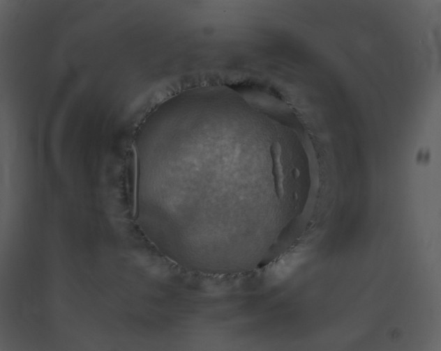 X0000093560192200710221430